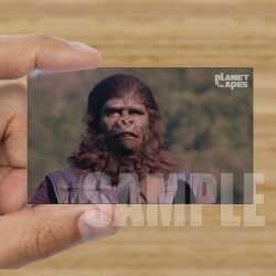 Single - Planet of the Apes Storyboard Card #43