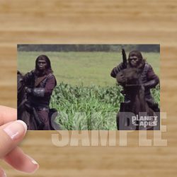 Single - Planet of the Apes Storyboard Card #45