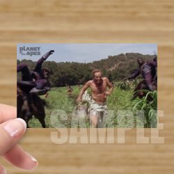 Single - Planet of the Apes Storyboard Card #46