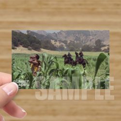 Single - Planet of the Apes Storyboard Card #48