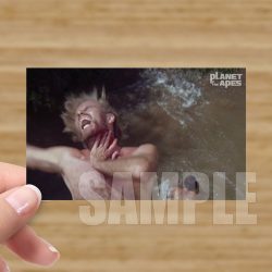 Single - Planet of the Apes Storyboard Card #49