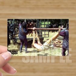 Single - Planet of the Apes Storyboard Card #51