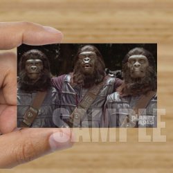 Single - Planet of the Apes Storyboard Card #54