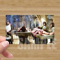 Single - Planet of the Apes Storyboard Card #56