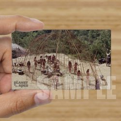 Single - Planet of the Apes Storyboard Card #58
