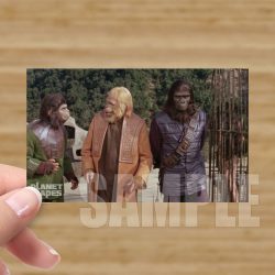 Single - Planet of the Apes Storyboard Card #60