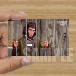 Single - Planet of the Apes Storyboard Card #61