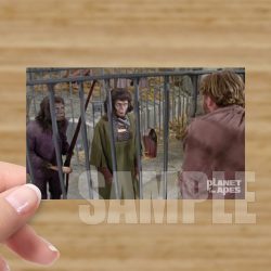 Single - Planet of the Apes Storyboard Card #62