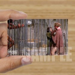 Single - Planet of the Apes Storyboard Card #63