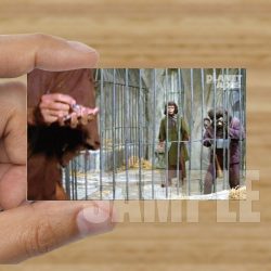 Single - Planet of the Apes Storyboard Card #64