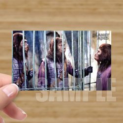 Single - Planet of the Apes Storyboard Card #70