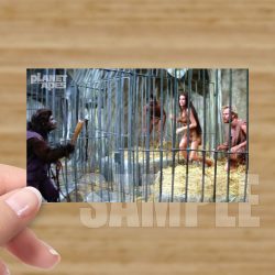Single - Planet of the Apes Storyboard Card #71
