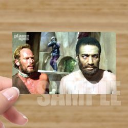 Single - Planet of the Apes Storyboard Card #80